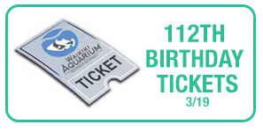 112thBirthdayTicketsButton.png