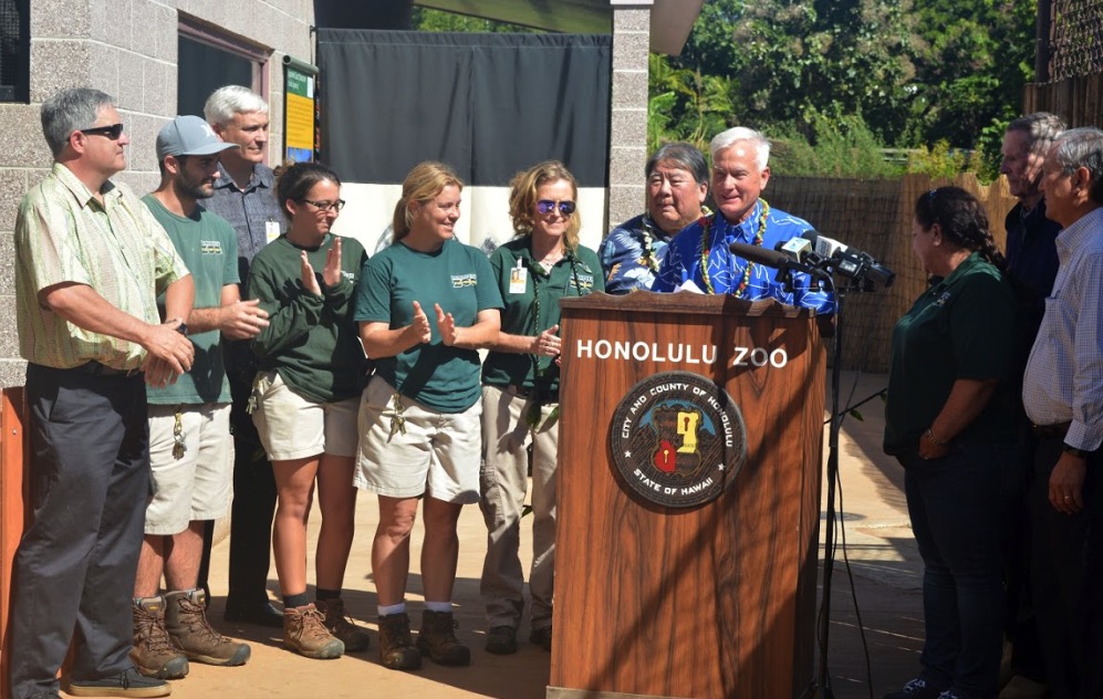 mayor-unveils-japanese-giant-salamander-exhibit-at-honolulu-zoo-.jpg