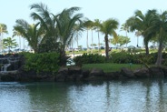 Island in the Duke Kahanamoku Lagoon Hilton Hawaiian Village Waikiki Beach Resort