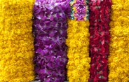 Waikiki Flowers & Lei Stands Honolulu, Hawaii