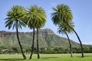 Waikiki Historic Sites Honolulu, Hawaii