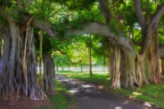 Waikiki Waikiki Historic Trail Honolulu, Hawaii